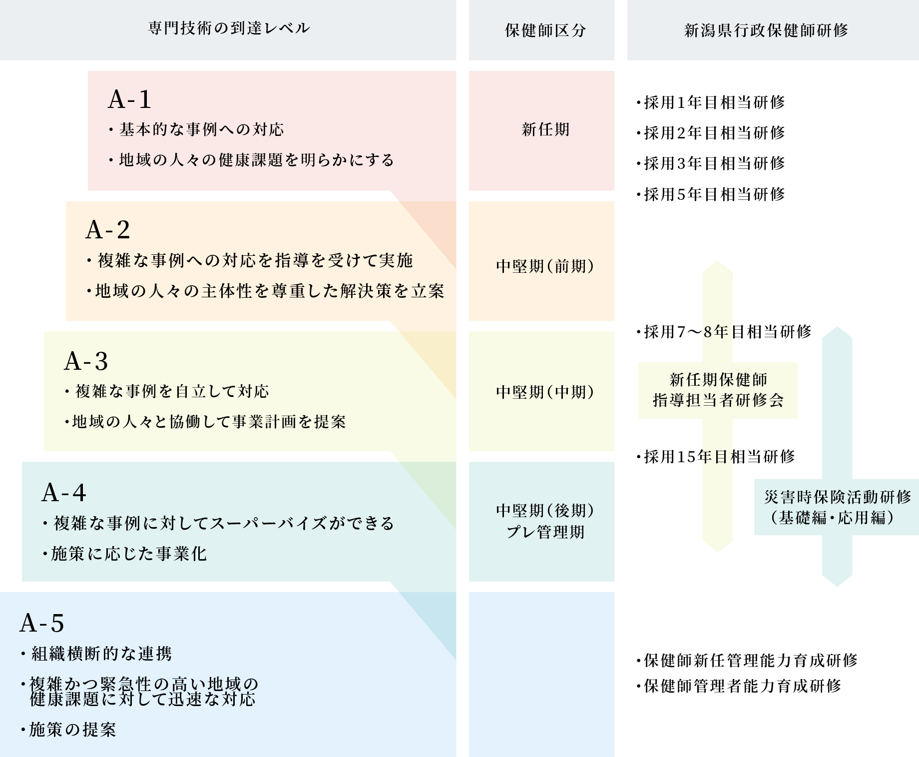 新潟県職員保健師のキャリアパスの図
